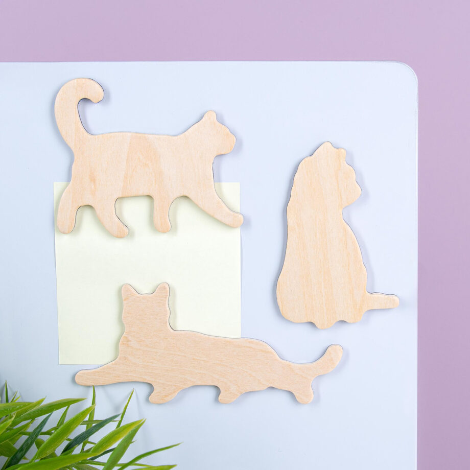 Houten dierenmagneten (set van 3)