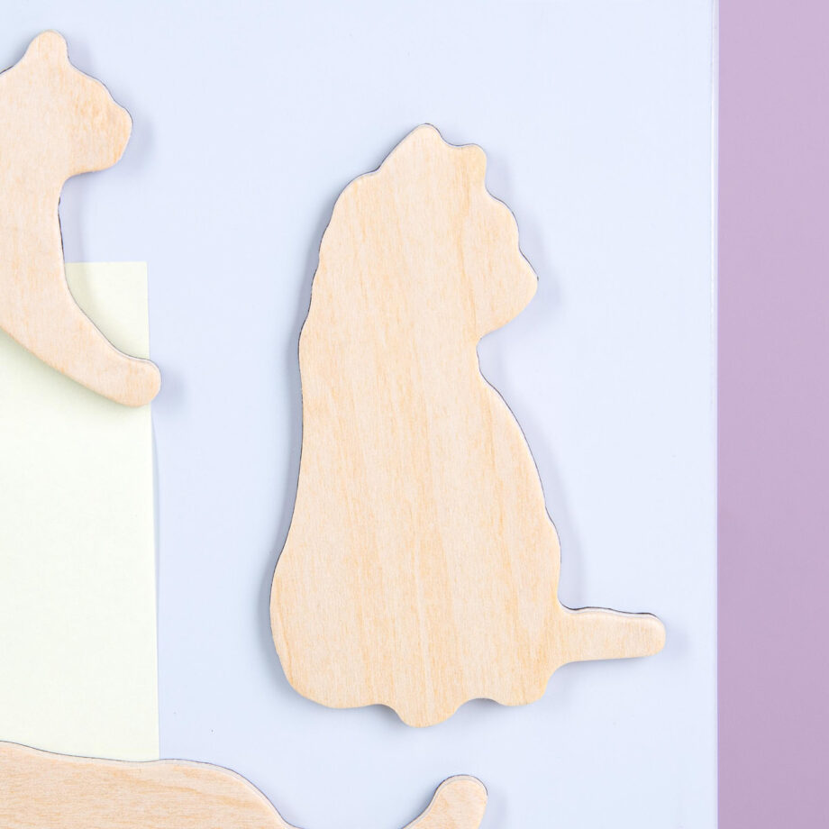 Houten dierenmagneten (set van 3)