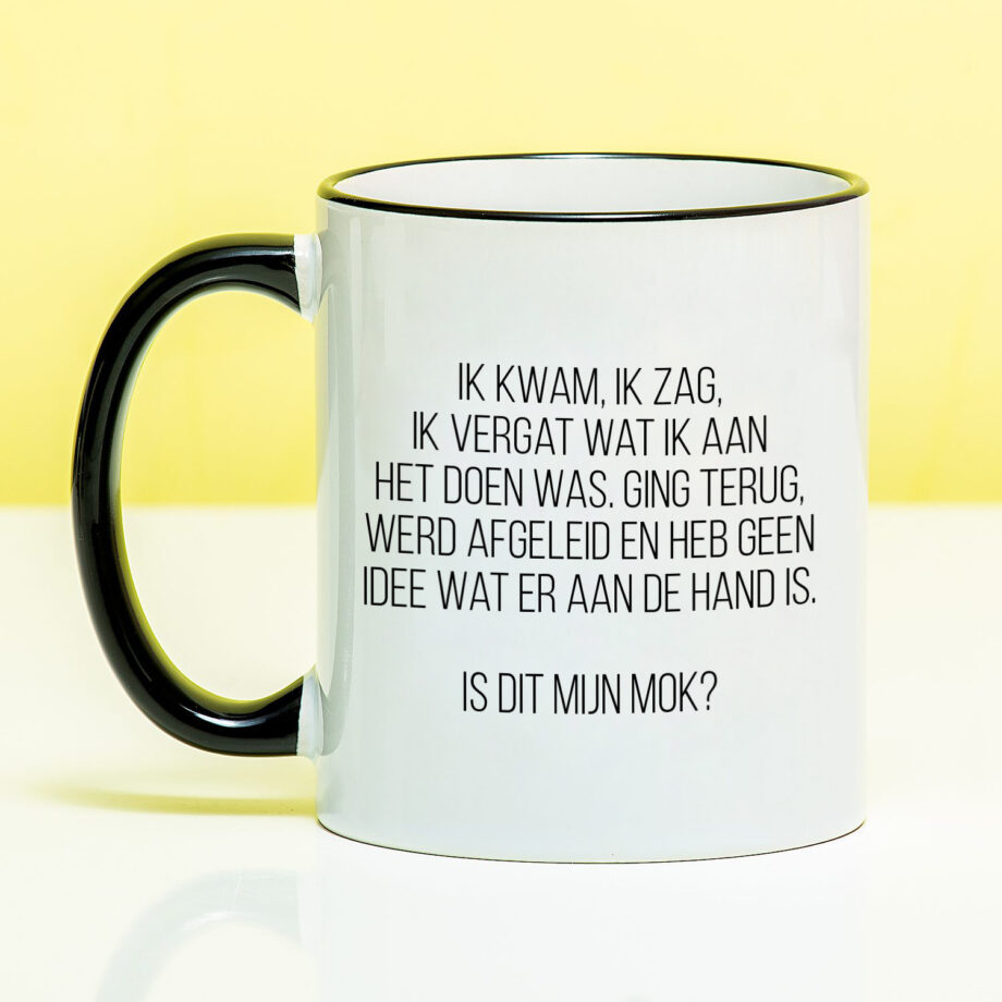 Mok Ik kwam, ik zag, ik vergat