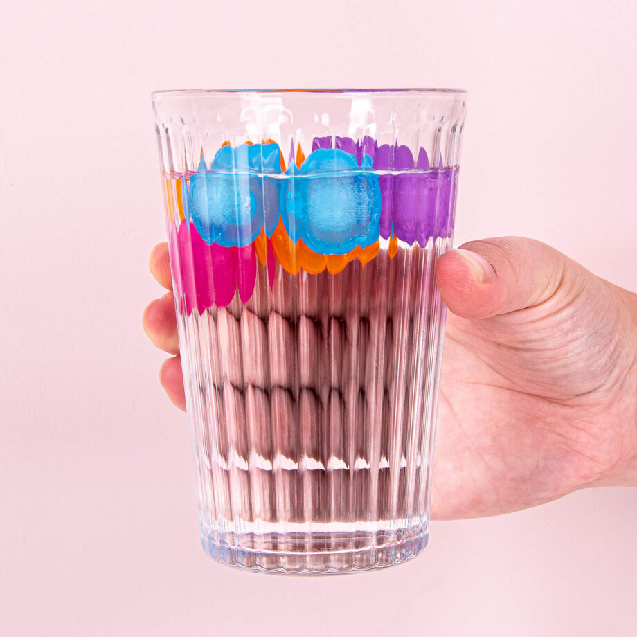 Herbruikbare kat ijsblokjes (set van 24)