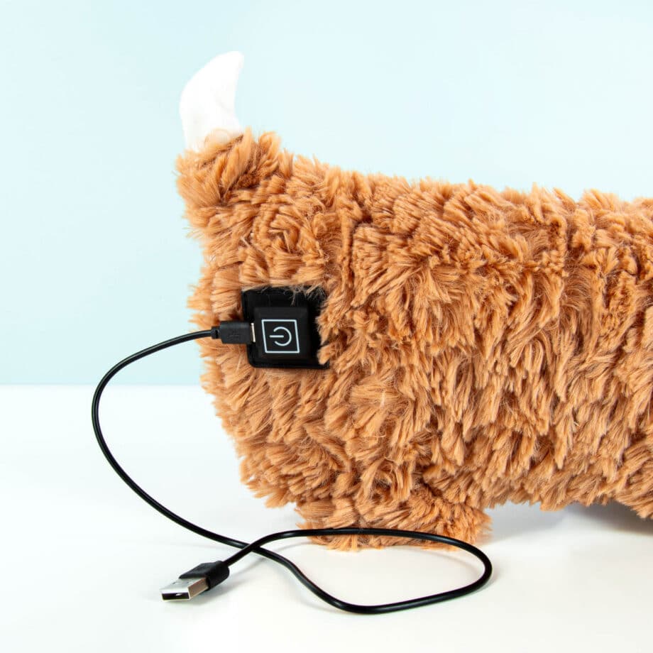 Hond elektrische kruik