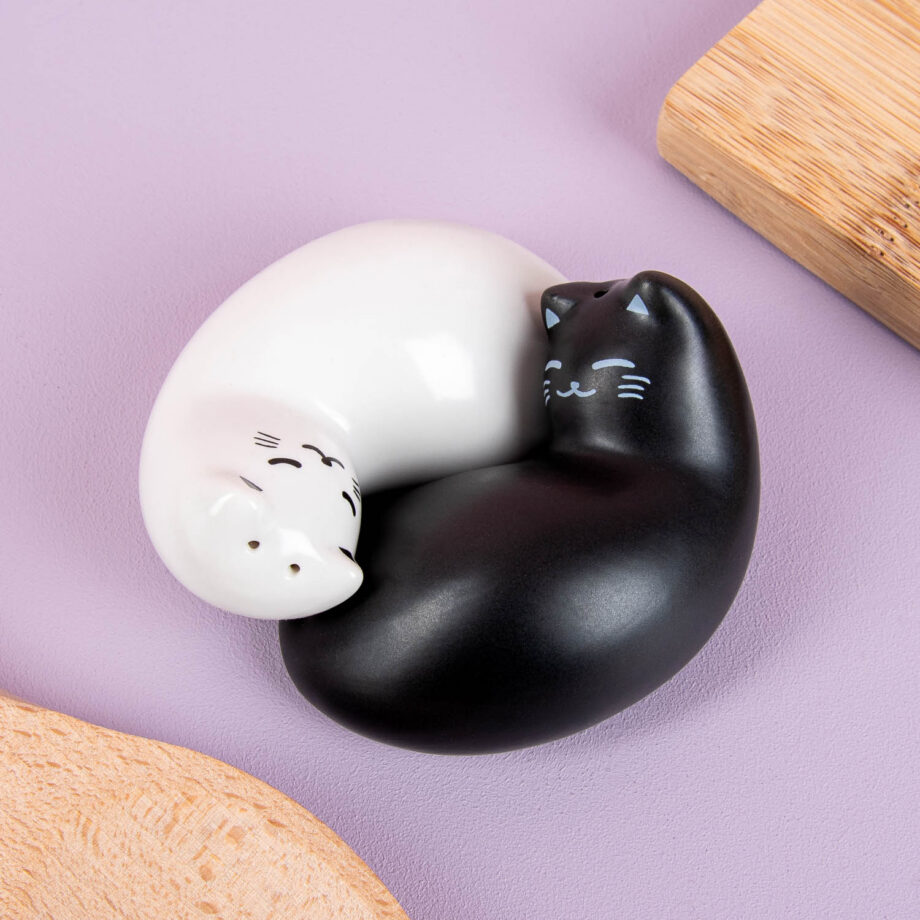 Katten peper- en zoutstel
