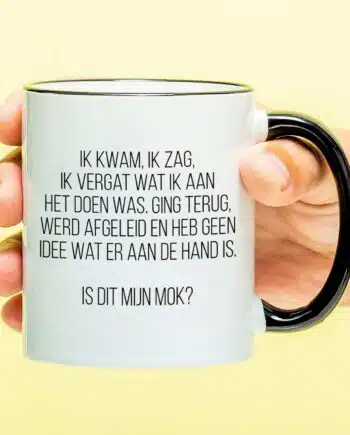 Mok Ik kwam, ik zag, ik vergat