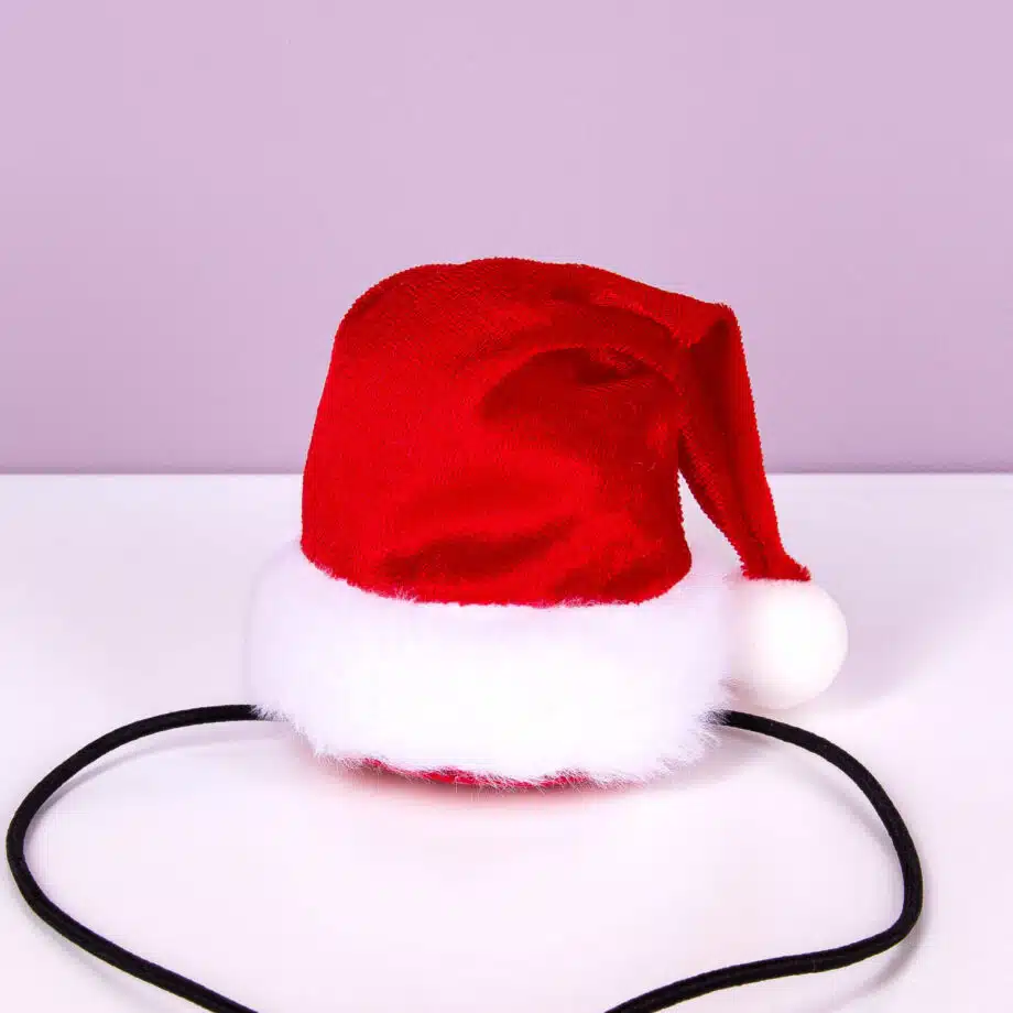 Kerstmuts voor honden