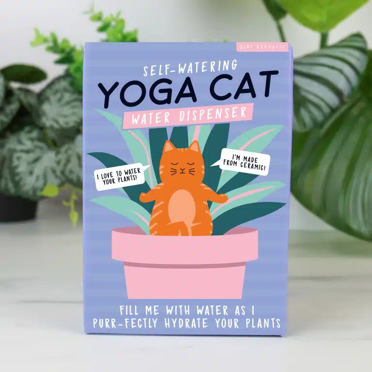 Yoga kat waterdruppelaar