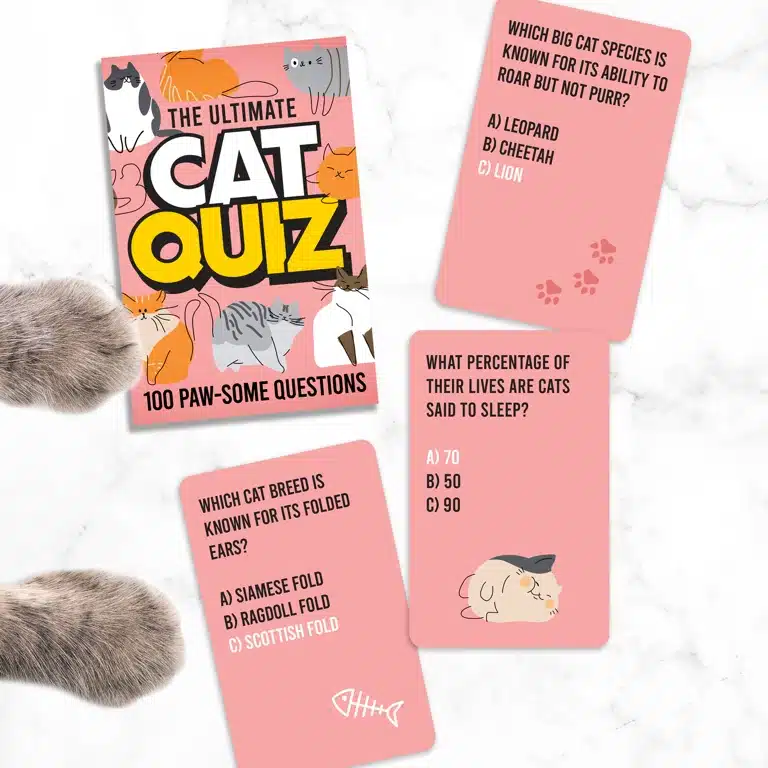 Cat Quiz kaarten