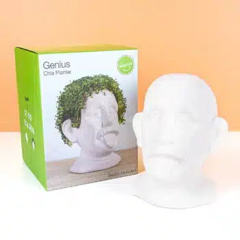 Einstein bloempot met zaadjes