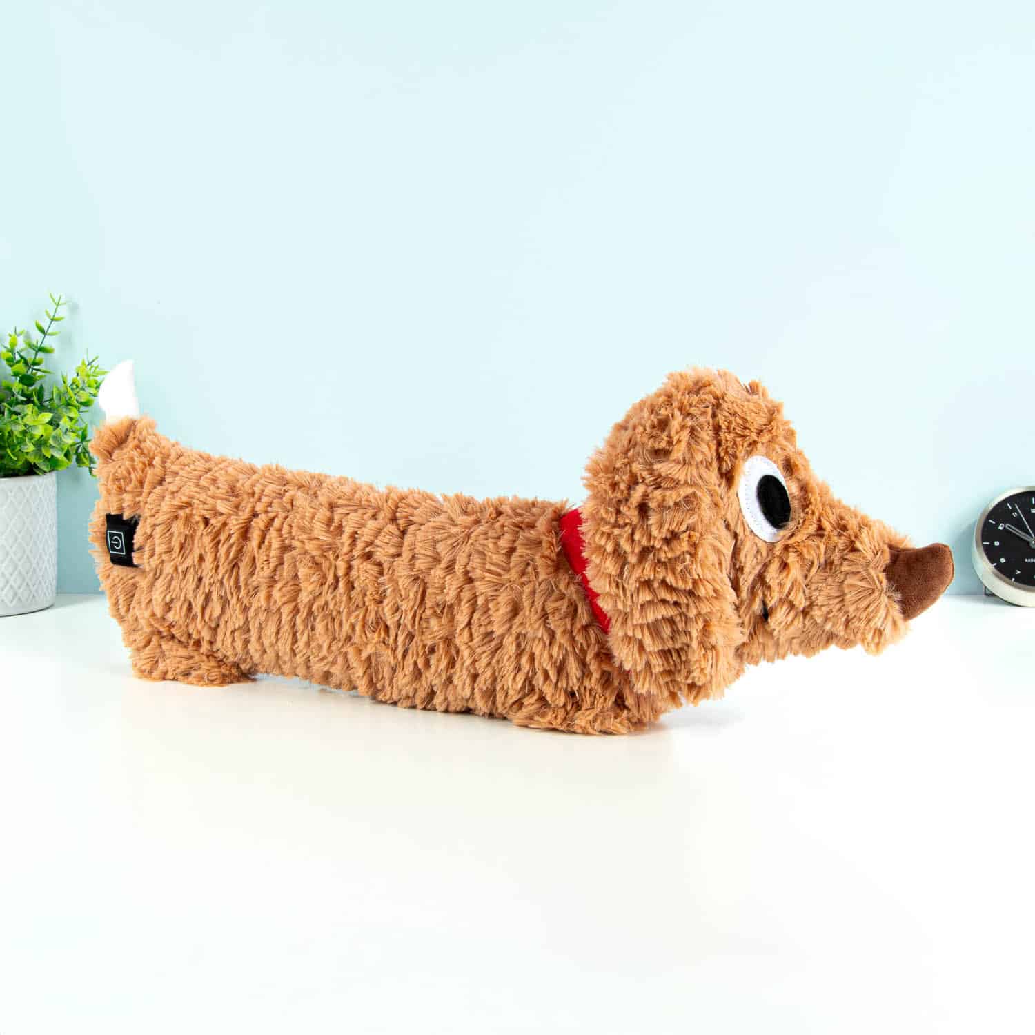 Hond elektrische kruik