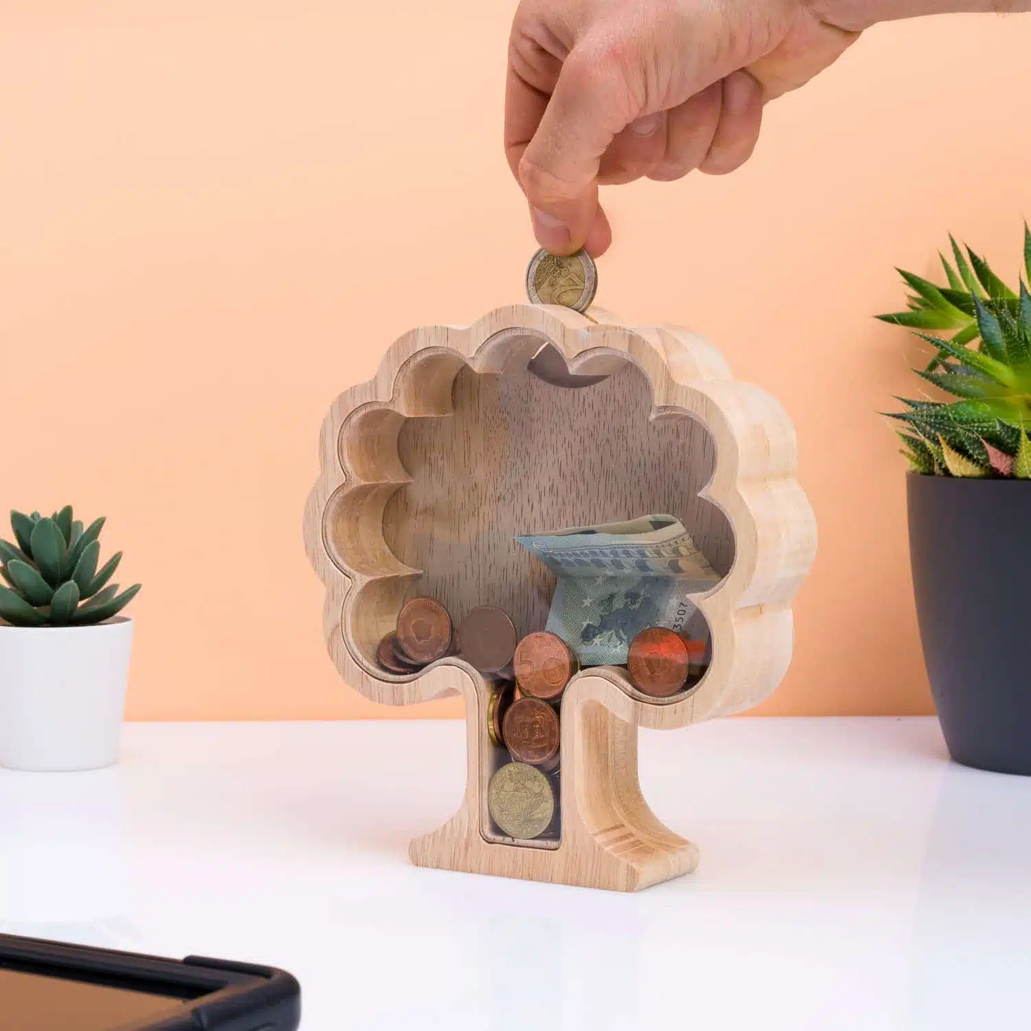 Geldboom spaarpot