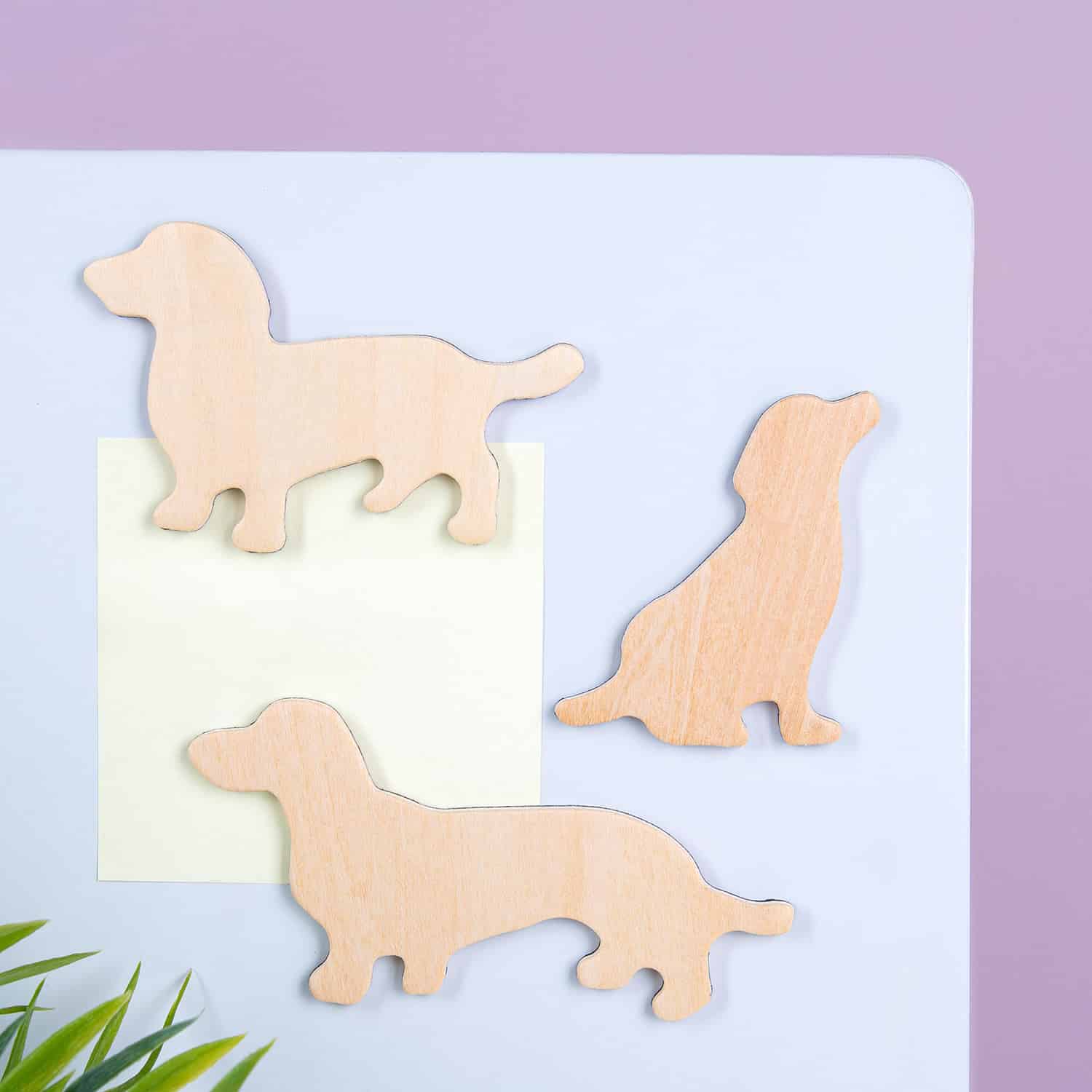Houten dierenmagneten (set van 3) - Hond