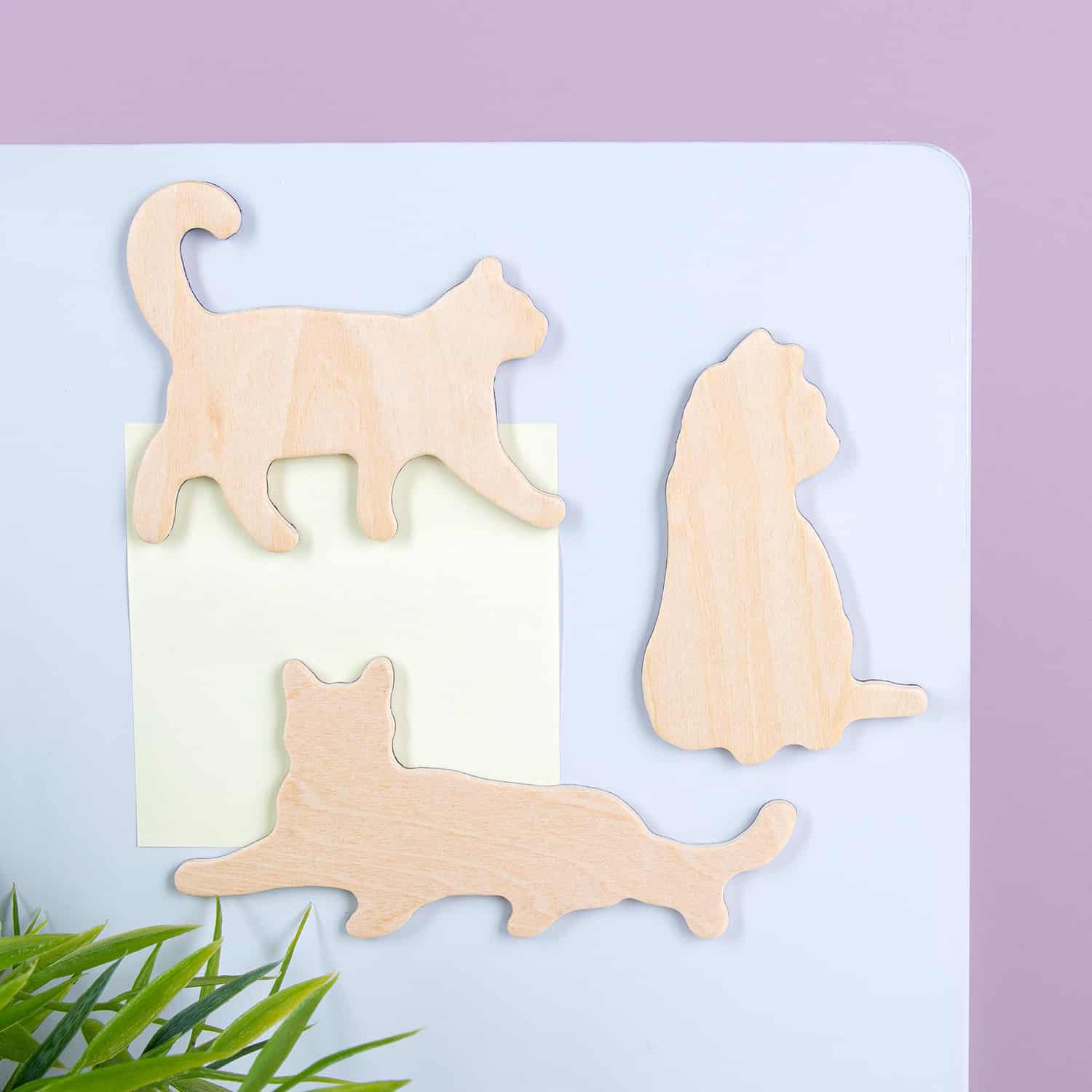 Houten dierenmagneten (set van 3) - Kat