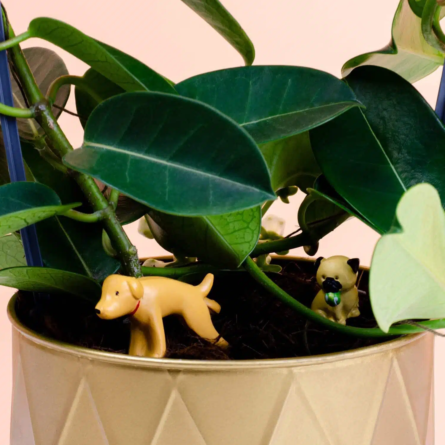 Bloempot honden (set van 4)