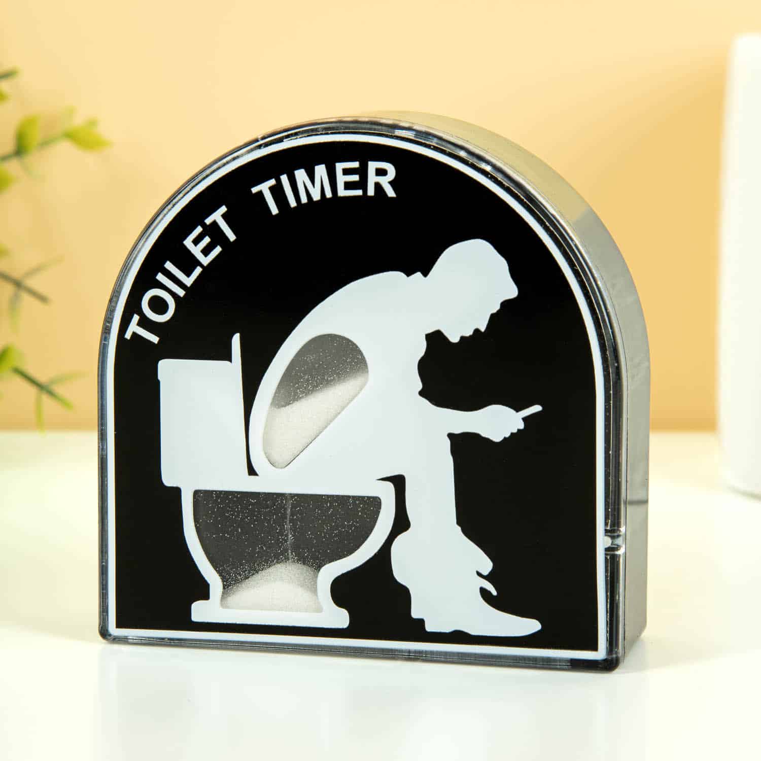 Toilet timer
