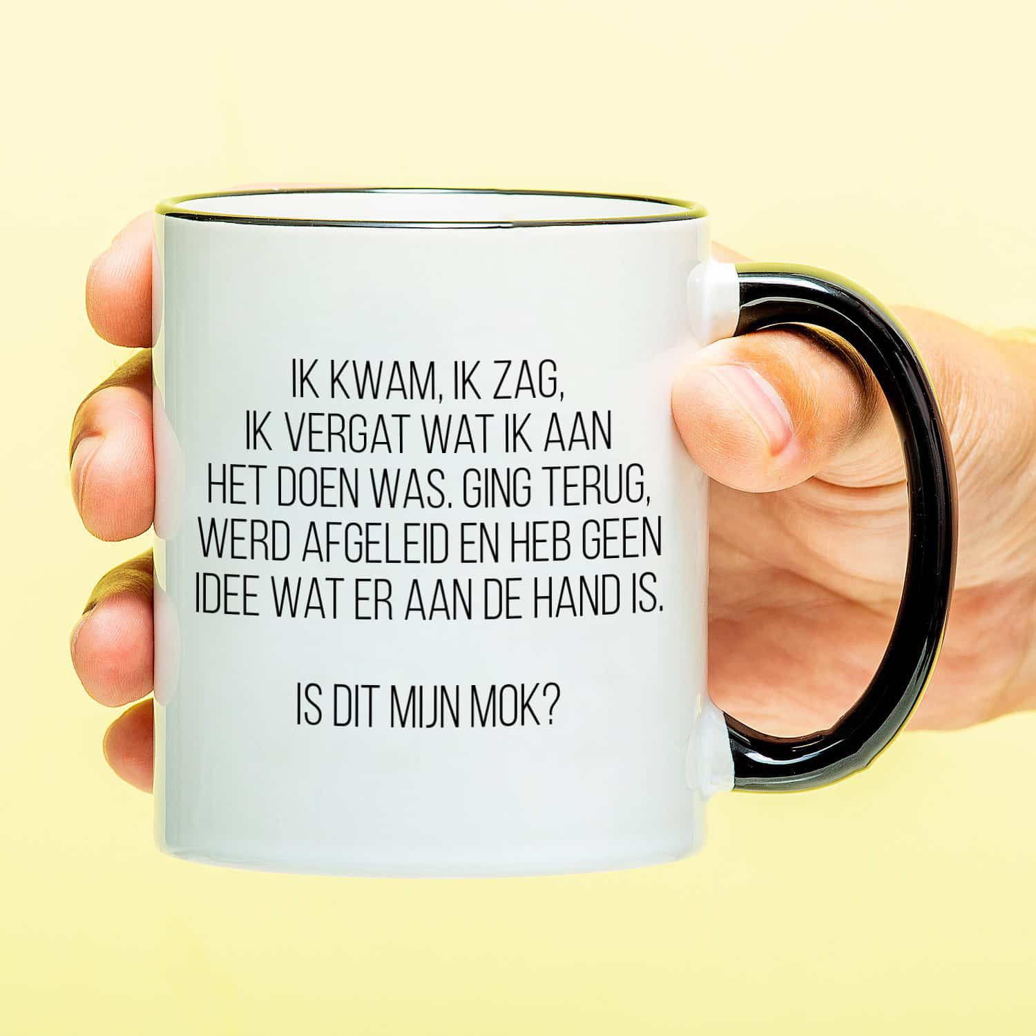 Mok Ik kwam, ik zag, ik vergat