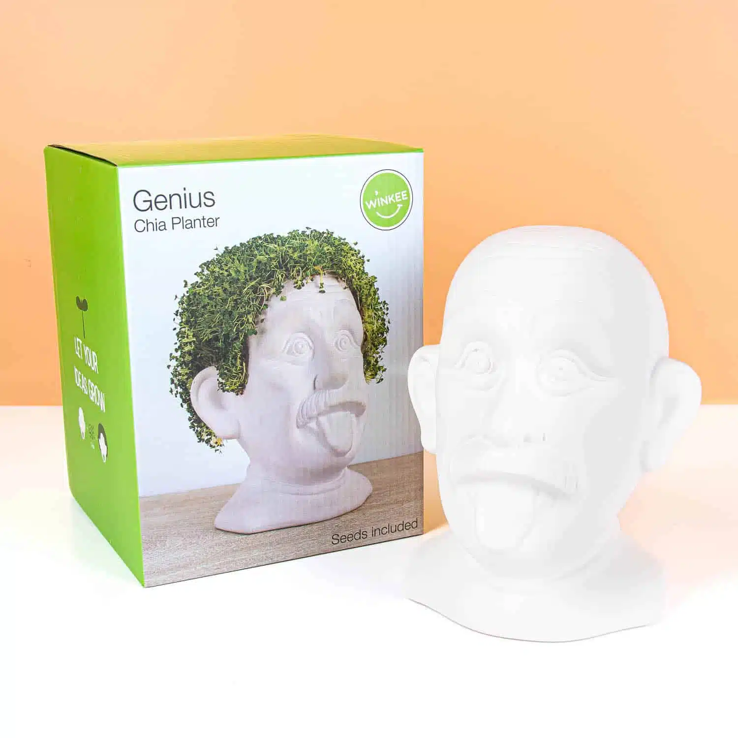 Einstein bloempot met zaadjes