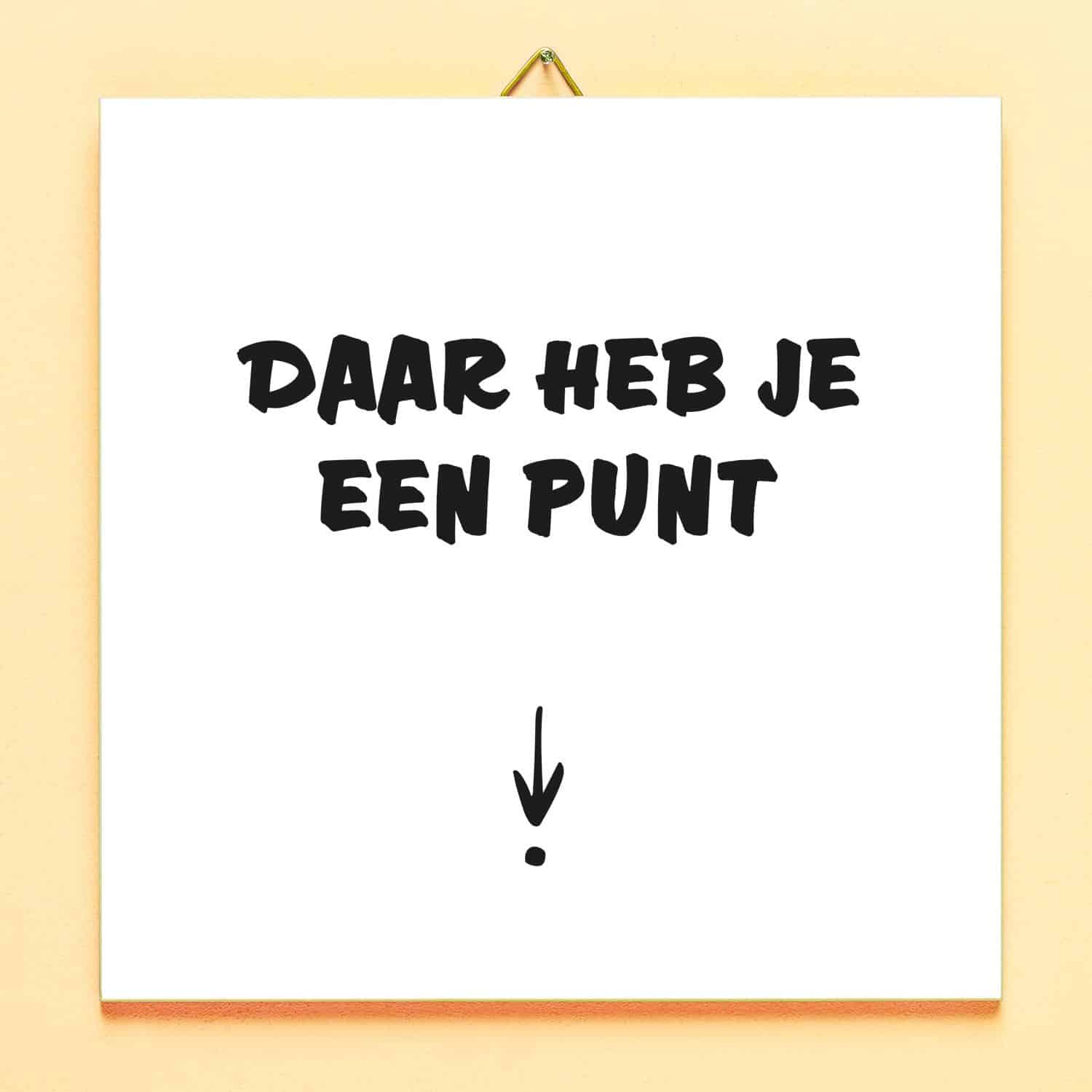 Tegeltje Daar heb je een punt