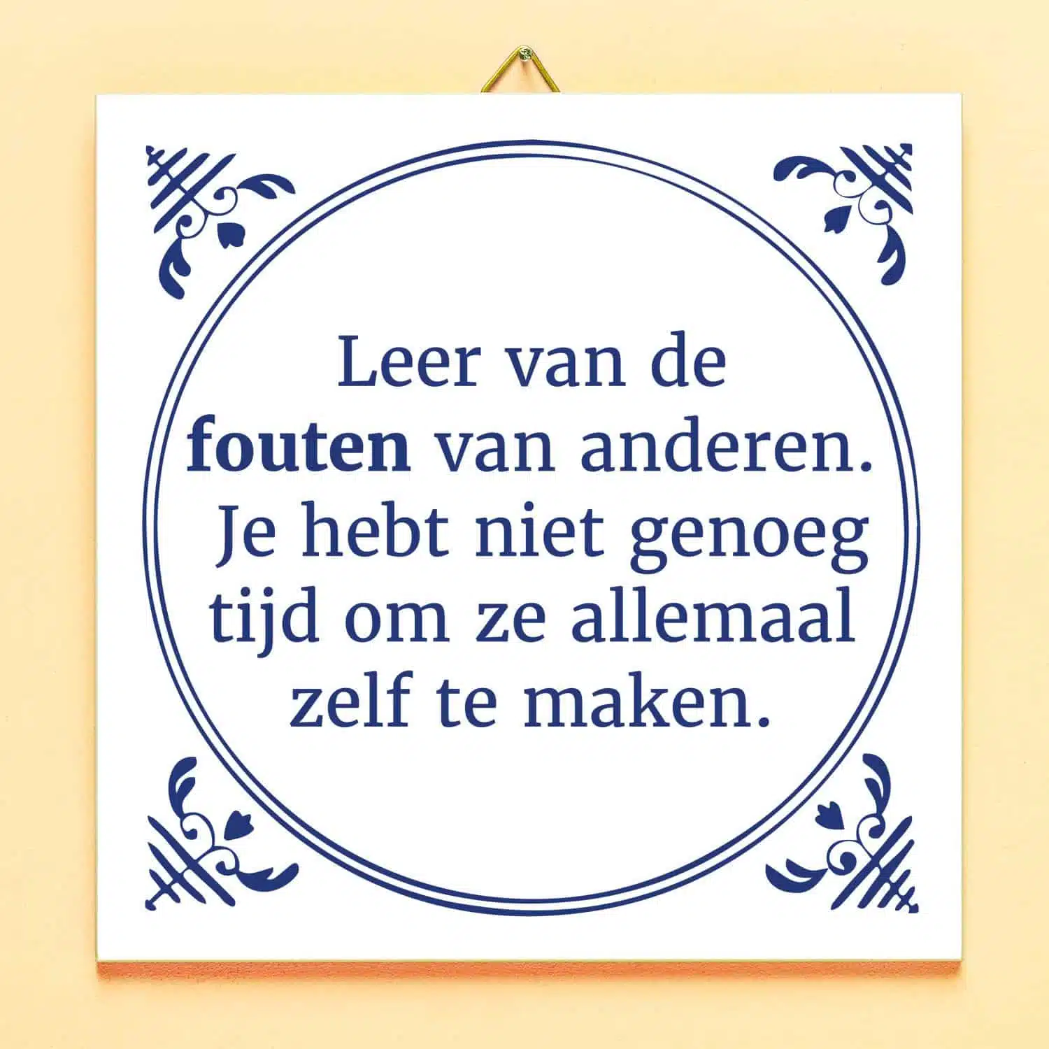 Tegeltje Leer van de fouten van anderen