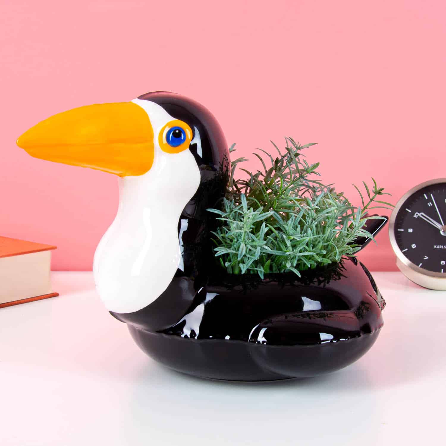 Toekan zwemband potje