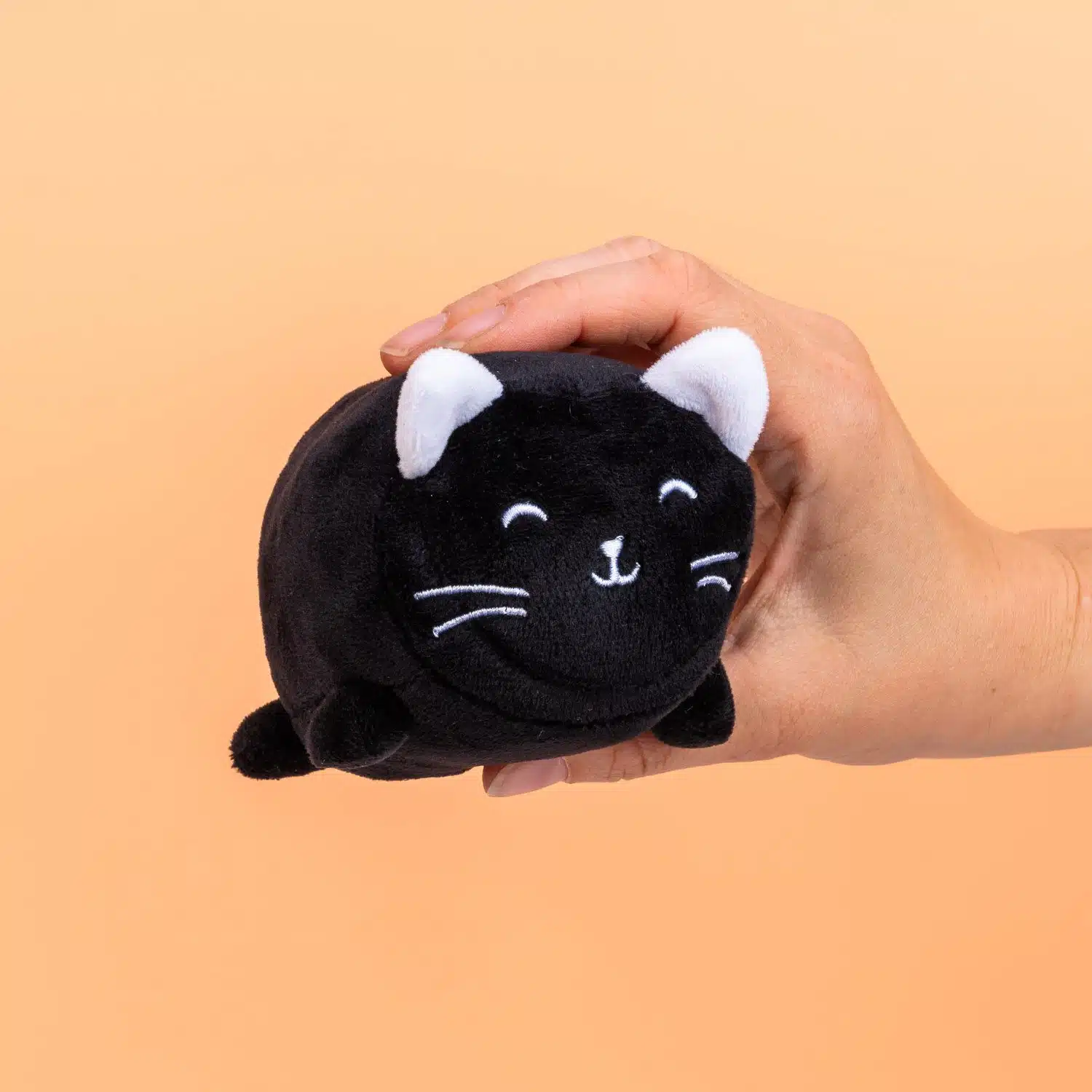 Huisdier schermreiniger - Kat