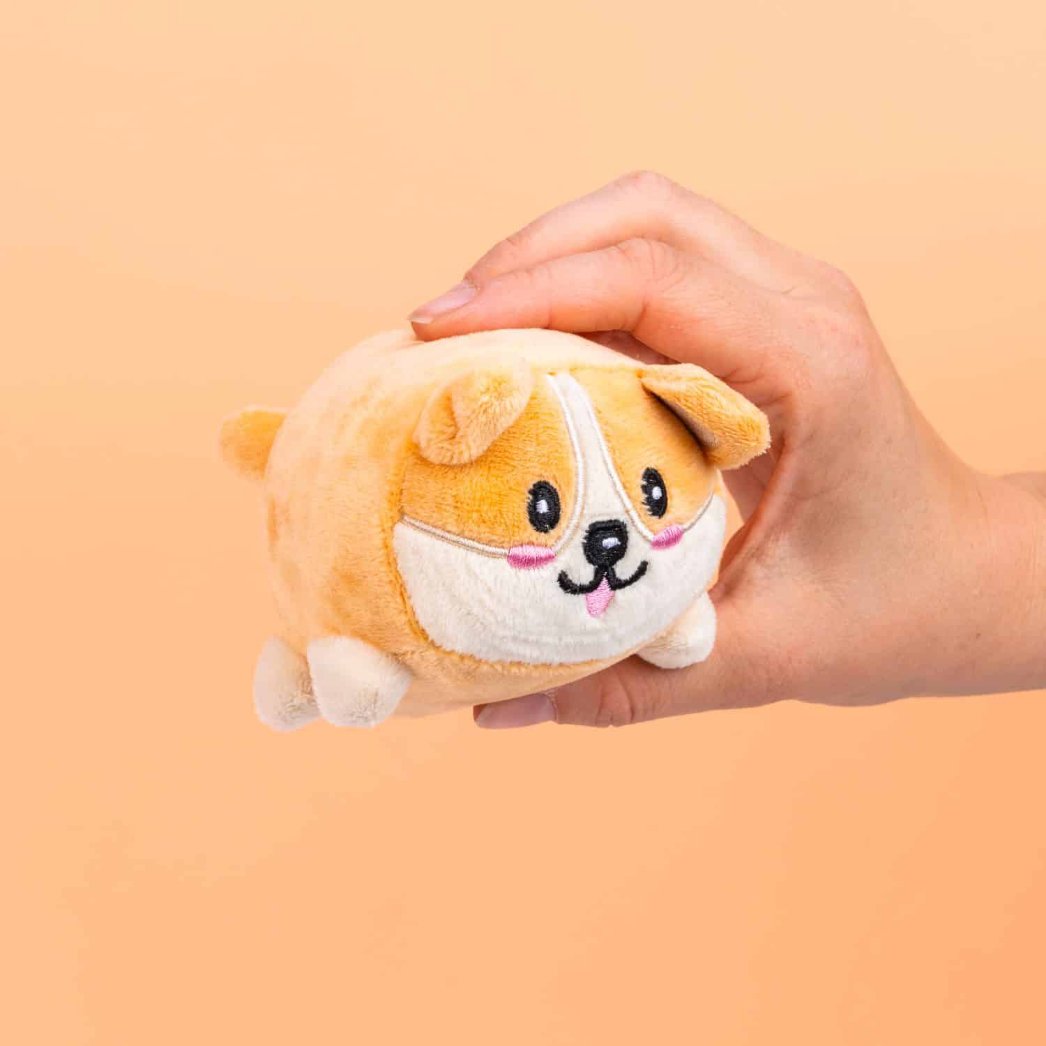 Huisdier schermreiniger - Hond