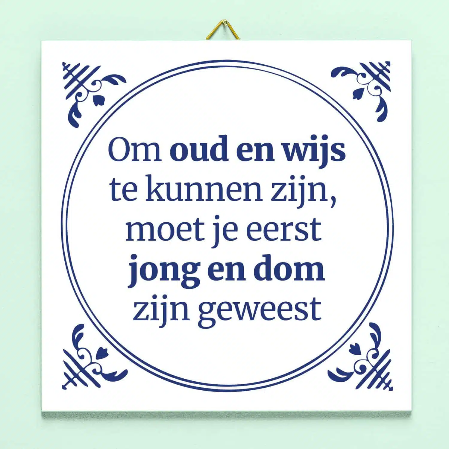 Tegeltje Jong en dom