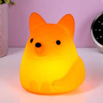 Vos nachtlampje
