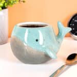 Walvis mok