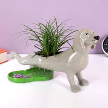 Plassende hond bloempot