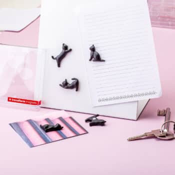 Zwarte kat magneten (set van 5)