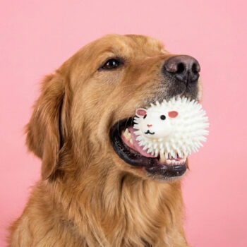 Schaapbal met geur voor honden