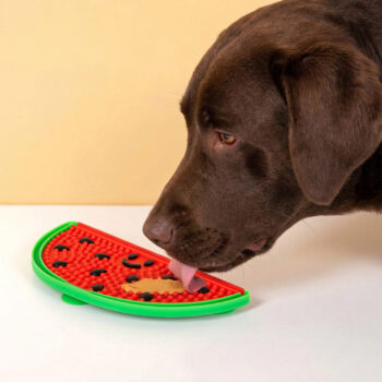 Watermeloen likmat voor honden