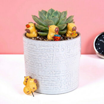 Bloempot capibara's (set van 4)