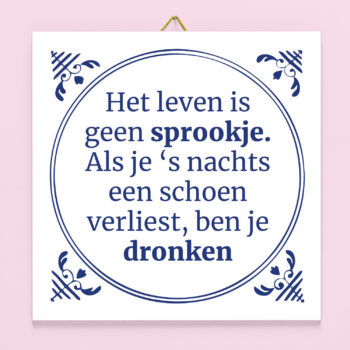 Tegeltje Het leven is geen sprookje