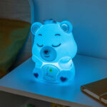 Care Bears Bedtime Bear siliconen lampje
