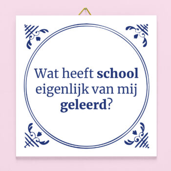 Tegeltje Wat heeft school eigenlijk van mij geleerd?
