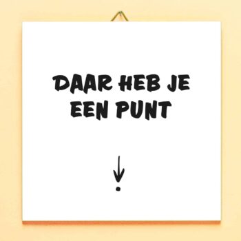 Tegeltje Daar heb je een punt