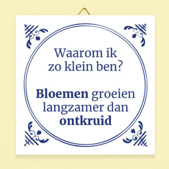 Tegeltje Waarom ik zo klein ben