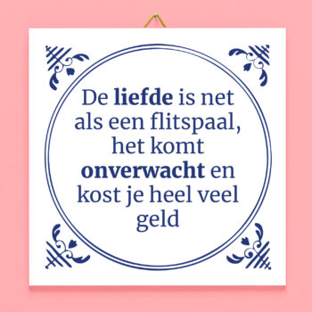 Tegeltje De liefde is net als een flitspaal