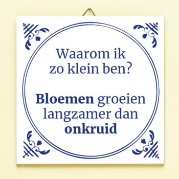 Tegeltje Waarom ik zo klein ben